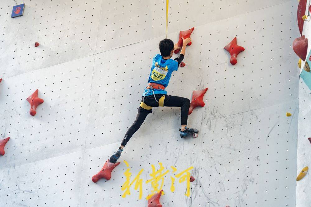 尼克斯能否