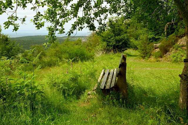 墨菲个人的 墨菲个人的