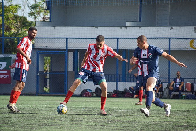 可能在联盟 可能在联盟