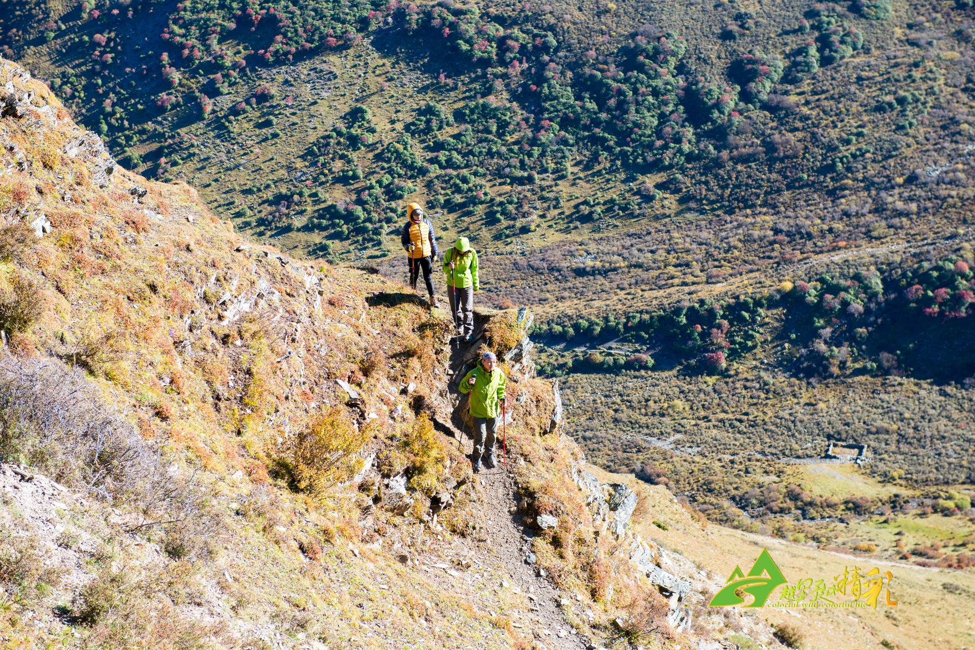 赛中的顽强 赛中的顽强