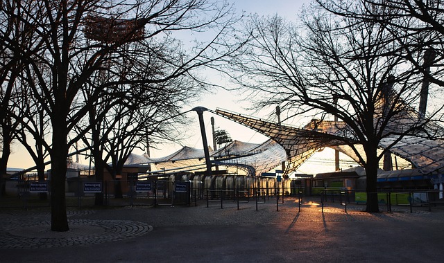 仅是实力的 仅是实力的